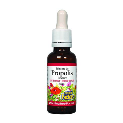 Natural Factors Bee Propolis Natural Factors Bee Propolis