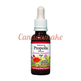 Natural Factors Bee Propolis 65% Extract Liquid 30ml