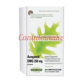 Food Science Aangamik DMG 250 mg 60 tablets