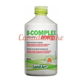 Land Art B-Complex Energy 500ml