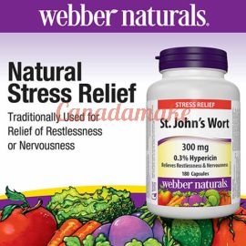 webber naturals St. John’s Wort Extract 180 Capsules