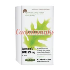 Food Science Aangamik DMG 250 mg 90 tablets