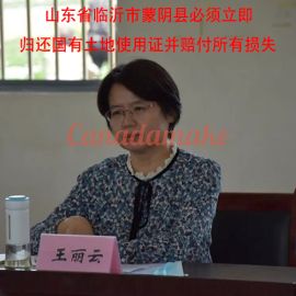 山东省临沂市蒙阴县委县政府必须立即归还国有土地使用证并赔付所有损失