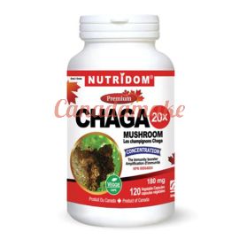 Nutridom Chaga Mushroom 20X Extract (120 Veggie Capsules)