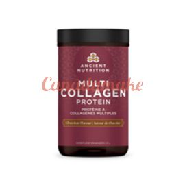 Ancient Nutrition Multi Collagen Protein - Chocolate 298g
