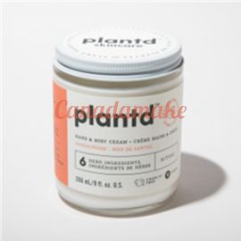 Plantd Skincare Ritual - Sandalwood 266 ml