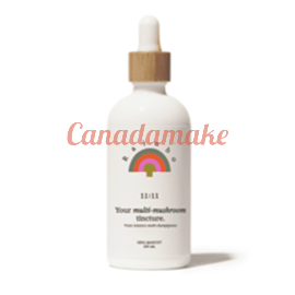 RAINBO 11:11 Super Multi-Mushroom Tincture 100 ml