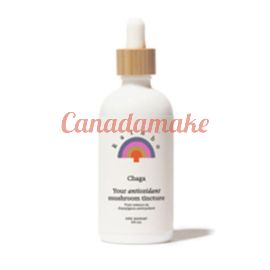 RAINBO Chaga Dual Extract Tincture 100 ml