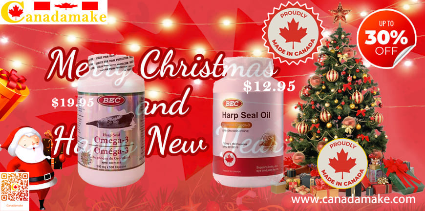 Merry Christmas and Happy New Year